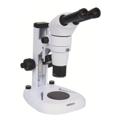 Parallellicht Stereomikroskop